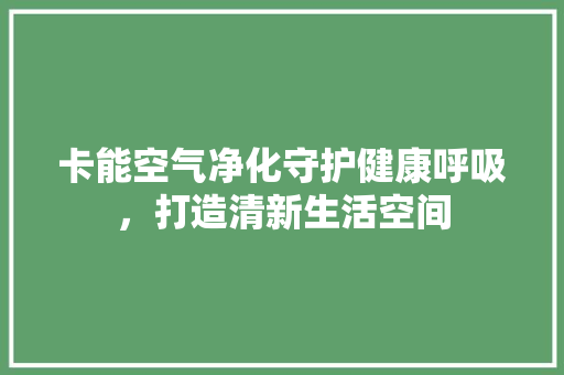 卡能空气净化守护健康呼吸，打造清新生活空间 家居维修