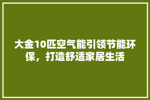 大金10匹空气能引领节能环保，打造舒适家居生活 清洁保养
