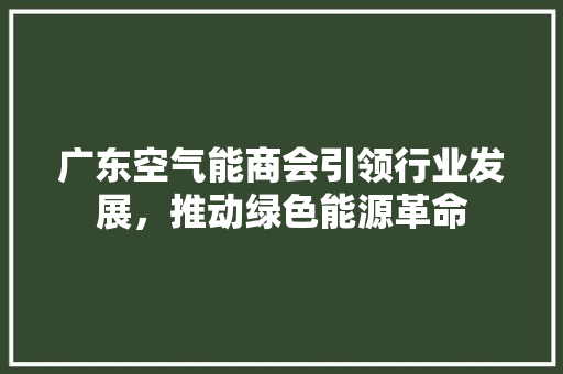 广东空气能商会引领行业发展，推动绿色能源革命 灯具安装