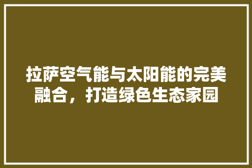 拉萨空气能与太阳能的完美融合，打造绿色生态家园 冰箱