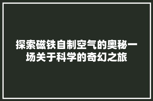 探索磁铁自制空气的奥秘一场关于科学的奇幻之旅 空调