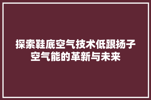 探索鞋底空气技术低跟扬子空气能的革新与未来 龙头管件