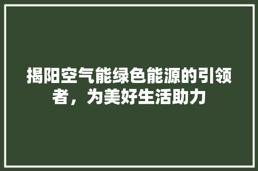 揭阳空气能绿色能源的引领者，为美好生活助力 龙头管件