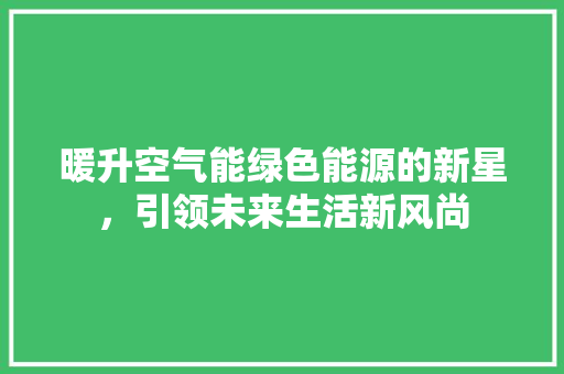 暖升空气能绿色能源的新星，引领未来生活新风尚 清洁保养