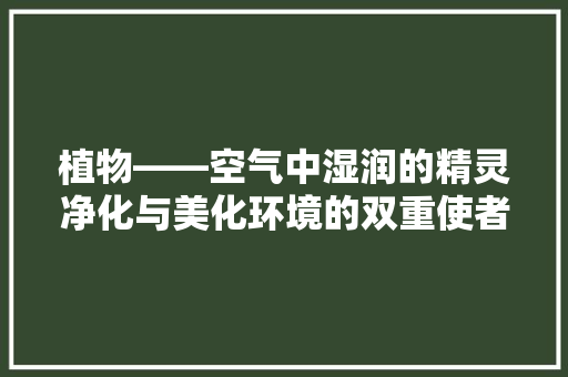 植物——空气中湿润的精灵净化与美化环境的双重使者 洁具维修