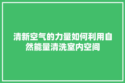 清新空气的力量如何利用自然能量清洗室内空间 翻新改色