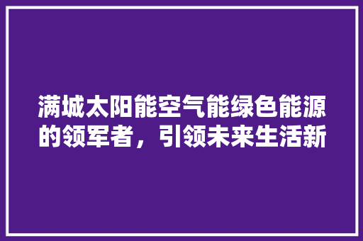 满城太阳能空气能绿色能源的领军者，引领未来生活新风尚 装修设计