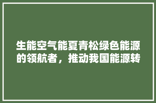 生能空气能夏青松绿色能源的领航者，推动我国能源转型 装修设计