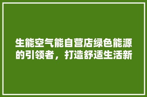 生能空气能自营店绿色能源的引领者，打造舒适生活新篇章 热水器