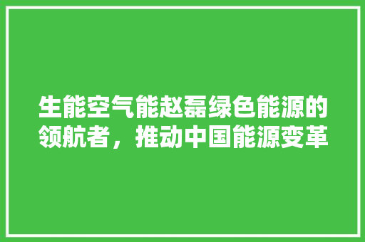 生能空气能赵磊绿色能源的领航者，推动中国能源变革 清洁保养