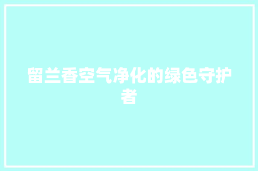 留兰香空气净化的绿色守护者 清洁保养