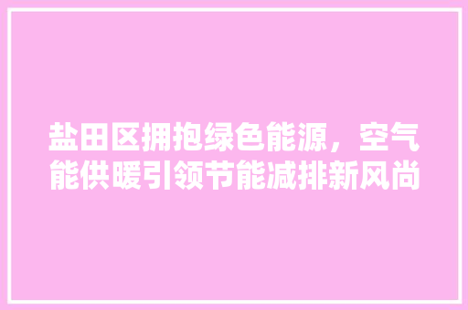 盐田区拥抱绿色能源，空气能供暖引领节能减排新风尚 灯具安装
