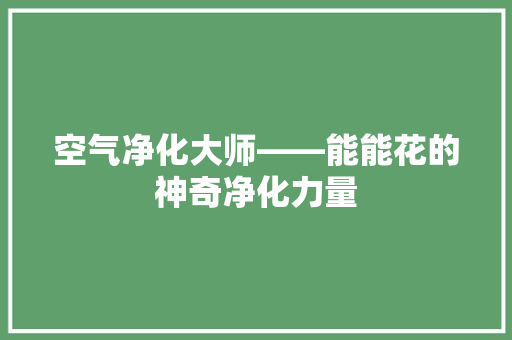 空气净化大师——能能花的神奇净化力量 翻新改色