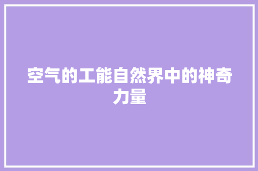 空气的工能自然界中的神奇力量 家具修理