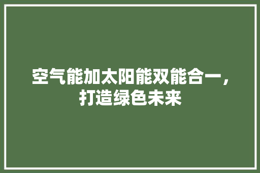 空气能加太阳能双能合一，打造绿色未来 洁具维修