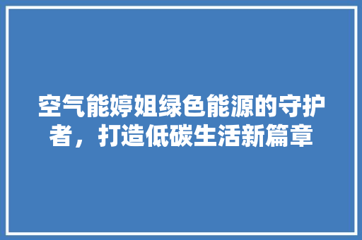 空气能婷姐绿色能源的守护者，打造低碳生活新篇章 灯具安装
