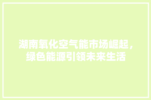 湖南氧化空气能市场崛起，绿色能源引领未来生活 龙头管件