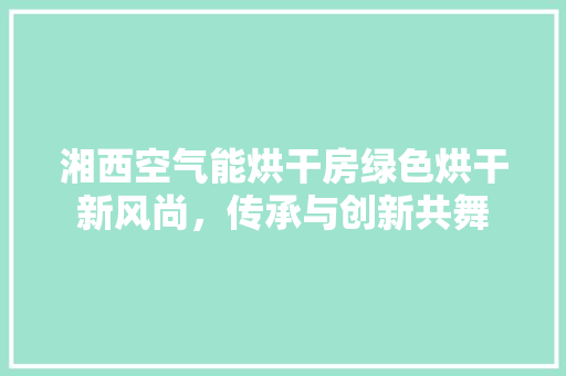 湘西空气能烘干房绿色烘干新风尚，传承与创新共舞 空调