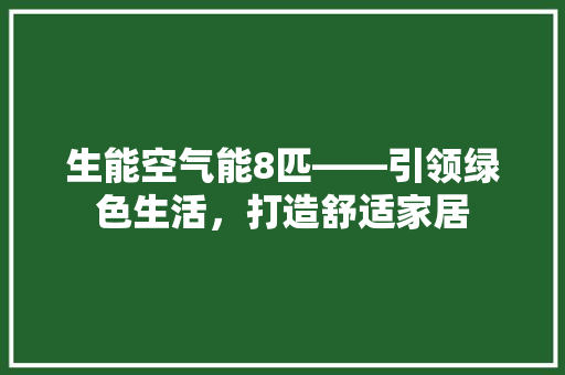 生能空气能8匹——引领绿色生活，打造舒适家居 热水器