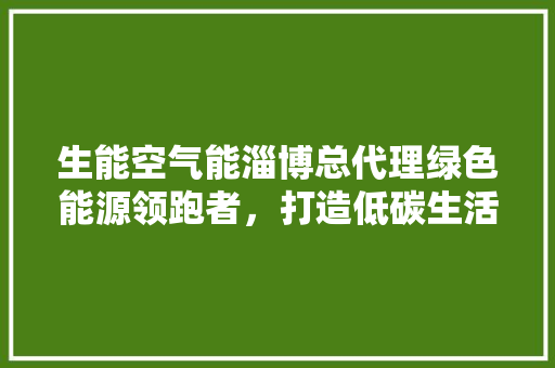 生能空气能淄博总代理绿色能源领跑者，打造低碳生活新篇章 清洁保养