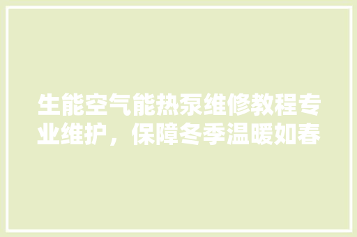 生能空气能热泵维修教程专业维护，保障冬季温暖如春 旧房改造
