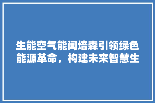 生能空气能闫培森引领绿色能源革命，构建未来智慧生活 空调
