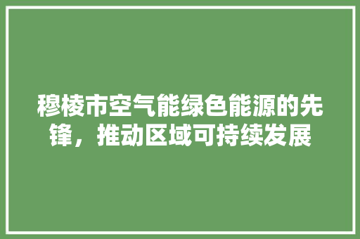 穆棱市空气能绿色能源的先锋，推动区域可持续发展 灯具安装
