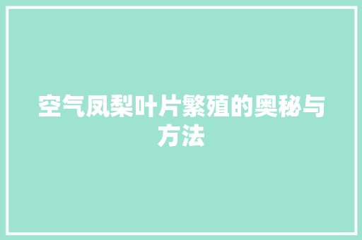 空气凤梨叶片繁殖的奥秘与方法 龙头管件