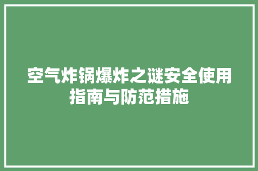 空气炸锅爆炸之谜安全使用指南与防范措施 清洁保养