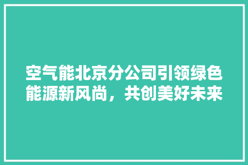 空气能北京分公司引领绿色能源新风尚，共创美好未来 家居维修