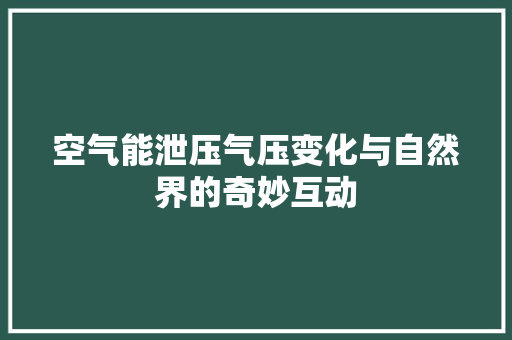 空气能泄压气压变化与自然界的奇妙互动 装修设计