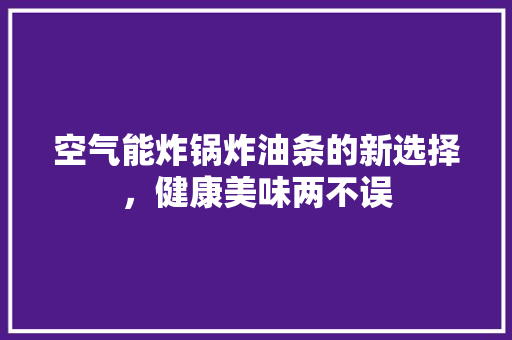 空气能炸锅炸油条的新选择，健康美味两不误 家居维修