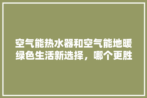 空气能热水器和空气能地暖绿色生活新选择，哪个更胜一筹 清洁保养