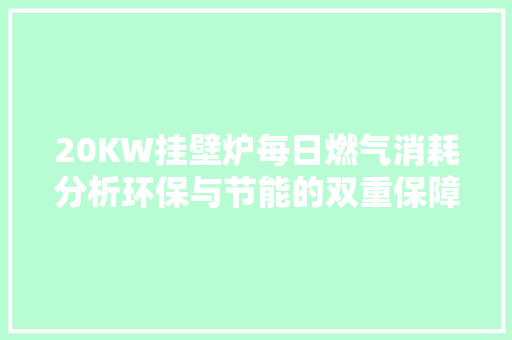 20KW挂壁炉每日燃气消耗分析环保与节能的双重保障 热水器