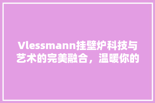 Vlessmann挂壁炉科技与艺术的完美融合，温暖你的冬日时光 家具修理