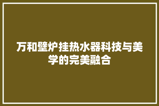万和壁炉挂热水器科技与美学的完美融合 水电维修