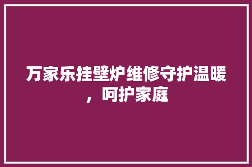 万家乐挂壁炉维修守护温暖，呵护家庭 灯具安装