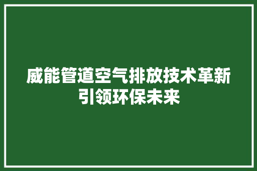 威能管道空气排放技术革新引领环保未来 翻新改色