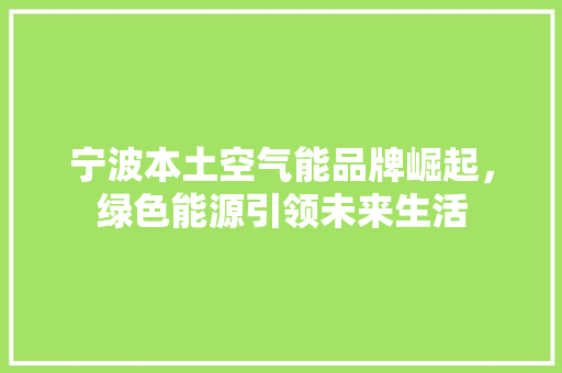 宁波本土空气能品牌崛起，绿色能源引领未来生活 洗衣机