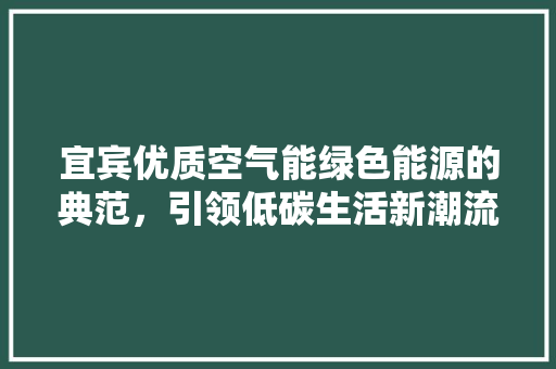 宜宾优质空气能绿色能源的典范，引领低碳生活新潮流 贴膜