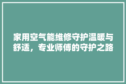 家用空气能维修守护温暖与舒适，专业师傅的守护之路 洁具维修
