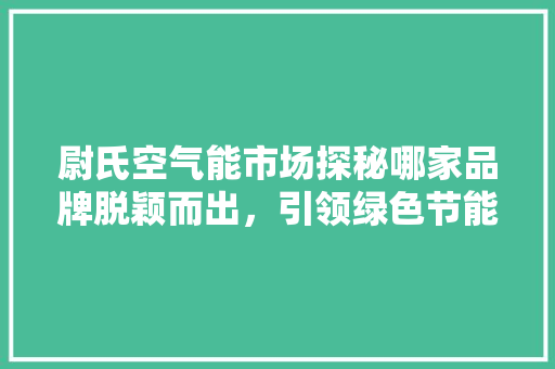 尉氏空气能市场探秘哪家品牌脱颖而出，引领绿色节能新潮流 家电维护
