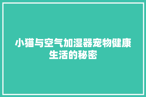 小猫与空气加湿器宠物健康生活的秘密 贴膜