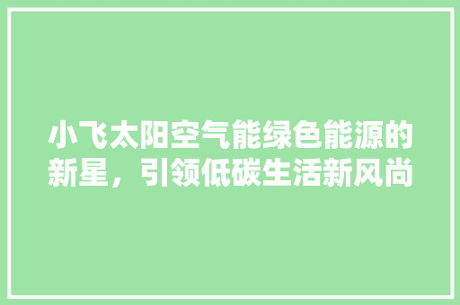 小飞太阳空气能绿色能源的新星，引领低碳生活新风尚 冰箱