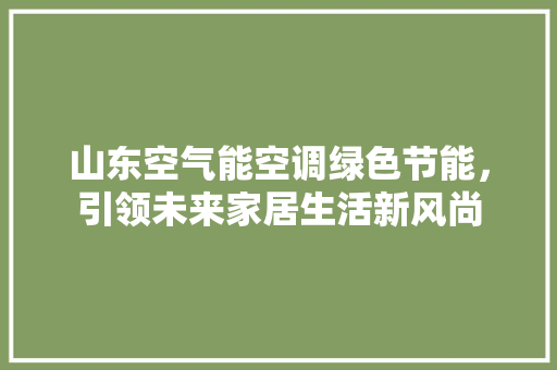 山东空气能空调绿色节能，引领未来家居生活新风尚 旧房改造