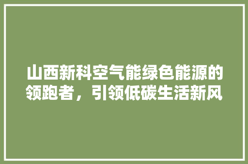 山西新科空气能绿色能源的领跑者，引领低碳生活新风尚 水电维修