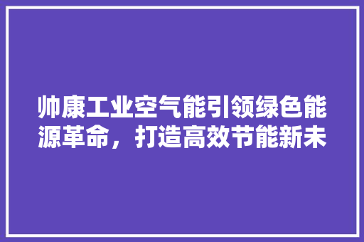 帅康工业空气能引领绿色能源革命，打造高效节能新未来 家电维护