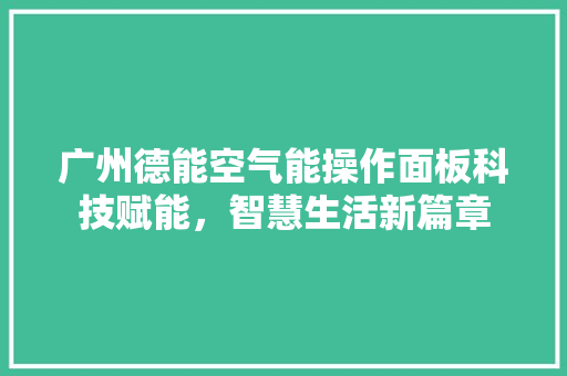 广州德能空气能操作面板科技赋能，智慧生活新篇章 家电维护