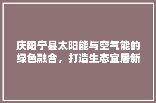 庆阳宁县太阳能与空气能的绿色融合，打造生态宜居新典范 旧房改造