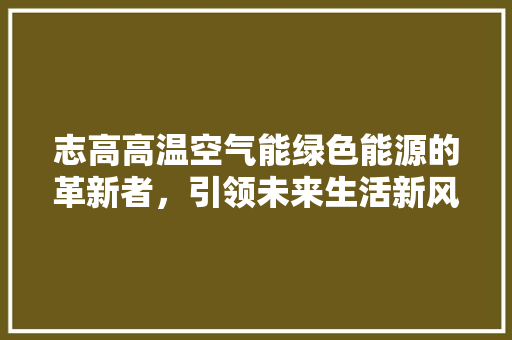 志高高温空气能绿色能源的革新者，引领未来生活新风尚 家居维修